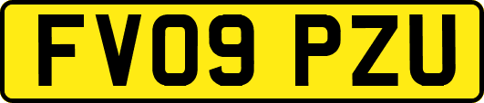 FV09PZU