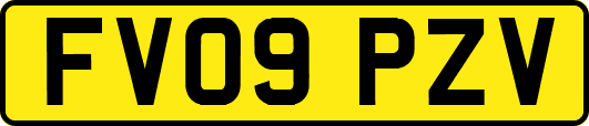 FV09PZV