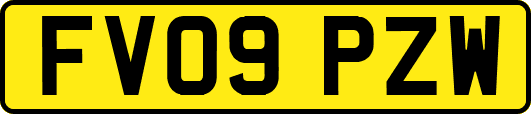 FV09PZW