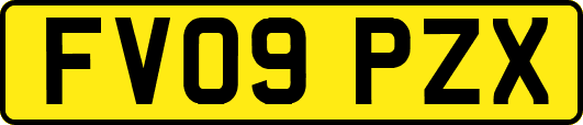 FV09PZX