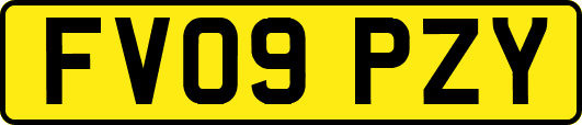 FV09PZY