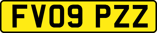 FV09PZZ