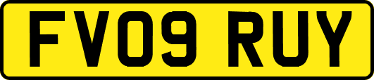 FV09RUY