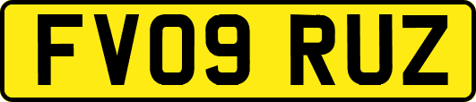 FV09RUZ