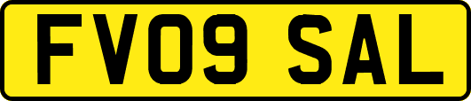 FV09SAL