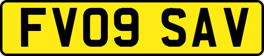 FV09SAV