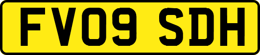 FV09SDH