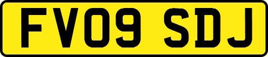 FV09SDJ