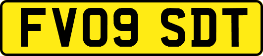 FV09SDT