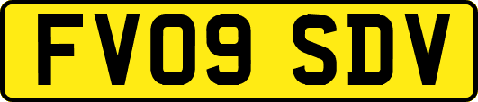 FV09SDV