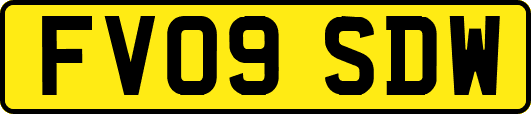 FV09SDW