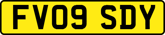 FV09SDY