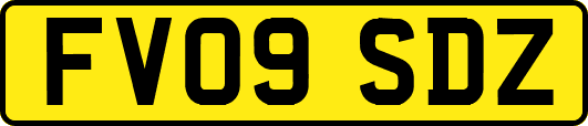 FV09SDZ