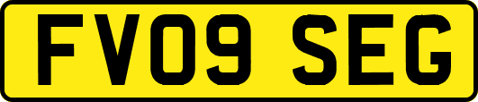 FV09SEG
