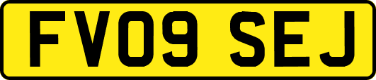 FV09SEJ