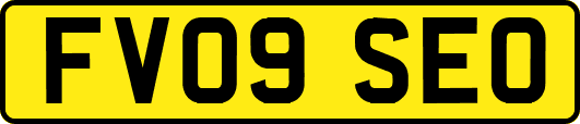 FV09SEO