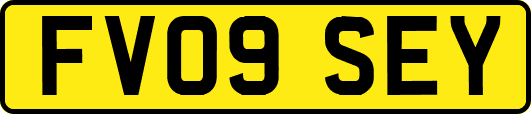 FV09SEY