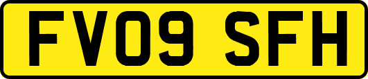 FV09SFH