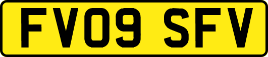 FV09SFV