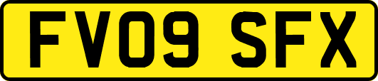 FV09SFX