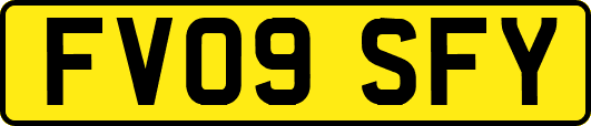 FV09SFY