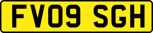 FV09SGH