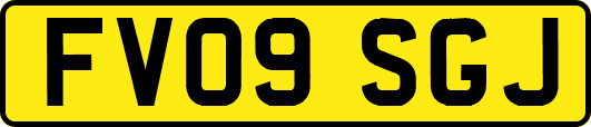 FV09SGJ
