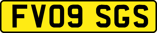FV09SGS