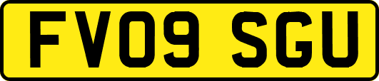 FV09SGU
