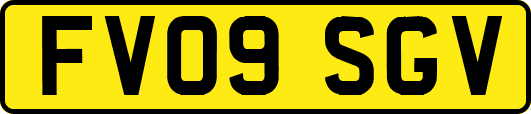 FV09SGV