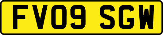 FV09SGW