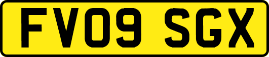 FV09SGX