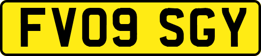 FV09SGY