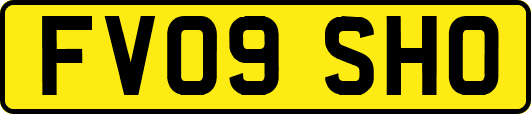 FV09SHO