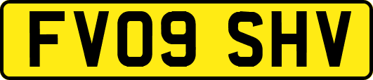 FV09SHV