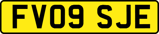 FV09SJE