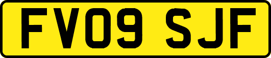 FV09SJF