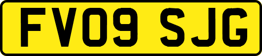 FV09SJG
