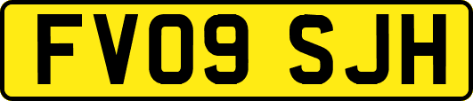 FV09SJH