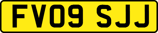 FV09SJJ