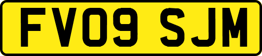 FV09SJM