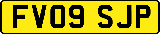 FV09SJP
