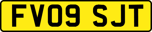 FV09SJT