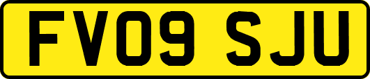 FV09SJU