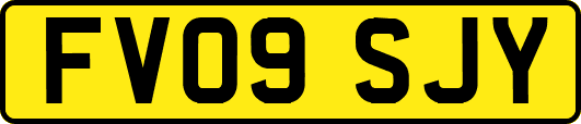 FV09SJY