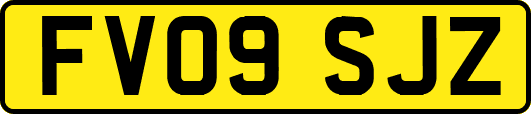 FV09SJZ