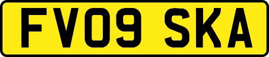 FV09SKA