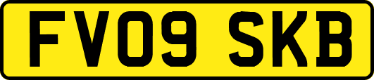 FV09SKB