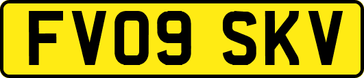 FV09SKV