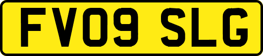 FV09SLG